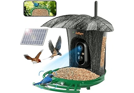 AI Smart Bird Feeder With Camera