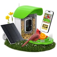 Bird Feeder With Camera