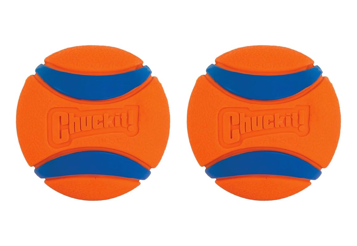 Chuckit Ball 2-Pack