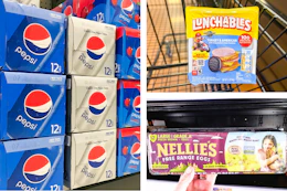 pepsi, lunchables, and nellie's eggs side by side