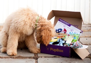 pupbox 32023 c 1679495141 1679495142