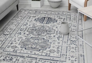 kohls area rug stock image 2022