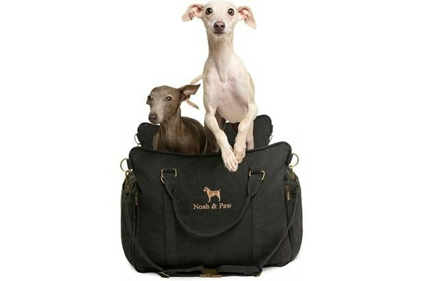 Noah & Paw Dog Car Seat Carrier
