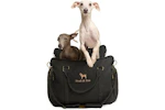 Noah & Paw Dog Car Seat Carrier