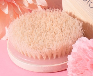 amazon-ecotools-body-brush-2023-1