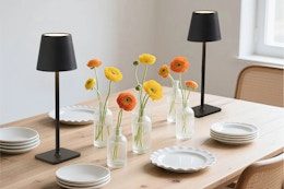 Mainstays 2 Pack Indoor/Outdoor Rechargeable 13" Table Lamps