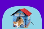 amazon heated cat house B0FKHBWLZN