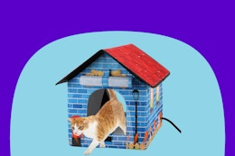 amazon heated cat house B0FKHBWLZN