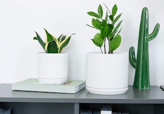 two white planters on a table