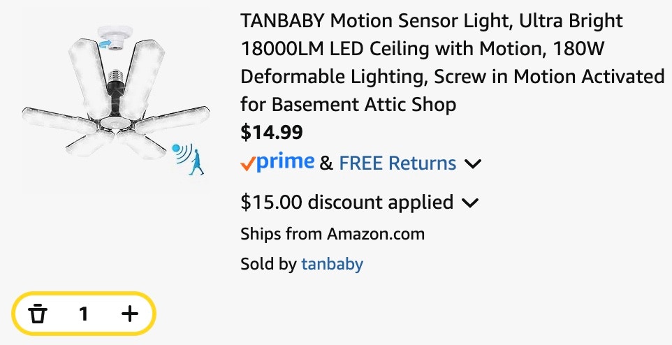 motion sensor light