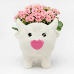 Valentine's Day Highland Cow Planter