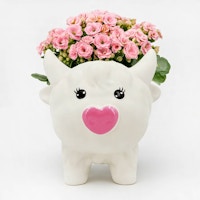 Valentine's Day Highland Cow Planter