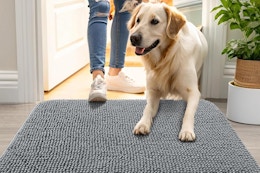 dog door mat