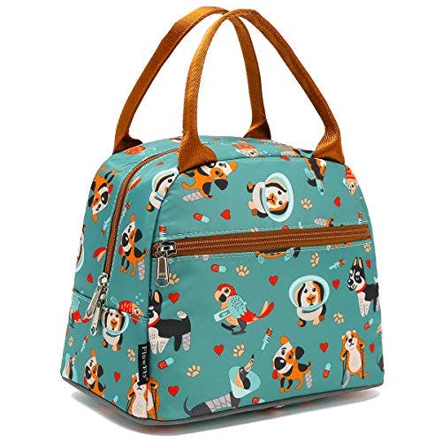 Insulated Lunch Cooler Tote Bag