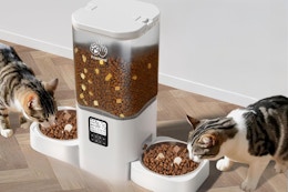 Dual Automatic Pet Feeder