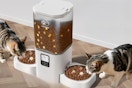 Dual Automatic Pet Feeder