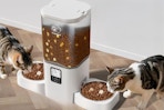 Dual Automatic Pet Feeder