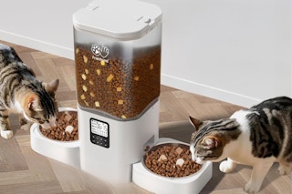 Dual Automatic Pet Feeder