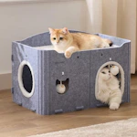 Cat House