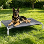 Elevated Dog Bed