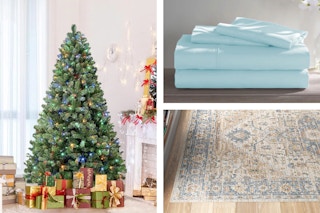 Wayfair Cyber Monday Doorbusters