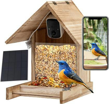 Smart Bird Feeder