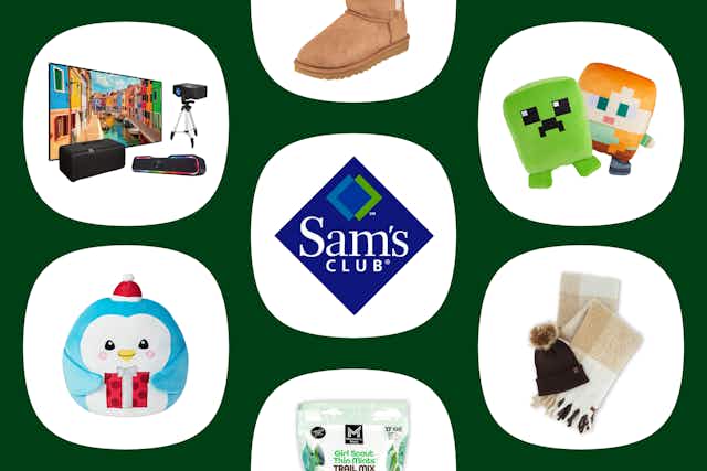 New Sam's Club Items: $99 Projector Kit, $18.98 Holiday Cake Balls & More card image