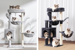 39.4-Inch Cat Tree Condo With Scratching Post, Only $35.99 on Amazon card image