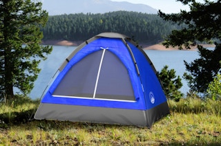 best-buy-wakeman-camping-tent-061321p