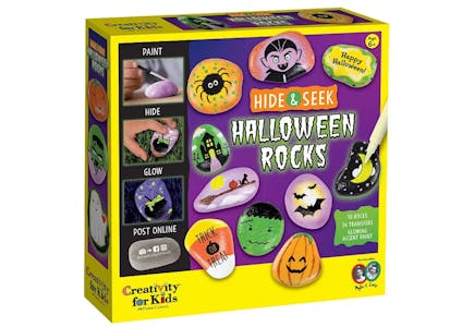 Creativity Rock Painting Kit