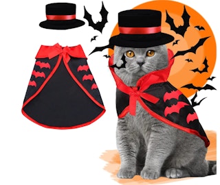 Cat in a vampire costume