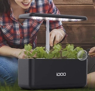 amazon indoor garden 1621971045 1621971045 e1678472583737