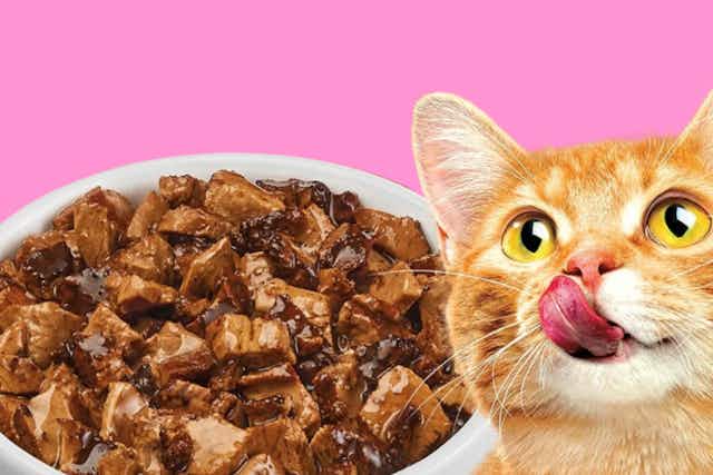 Purina Friskies Poultry Faves 8-Pack, as Low as $6.67 at Amazon card image