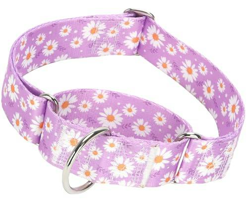 No Pull Daisy Nylon Training Collar