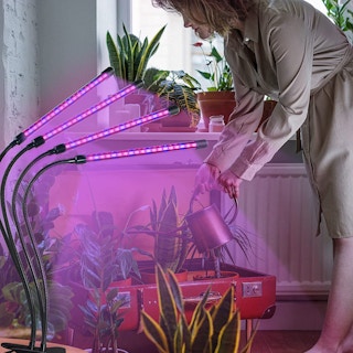 grow light amazon 1678463690 1678463690