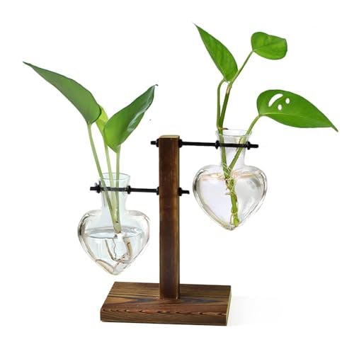 Plant Propagation Vases