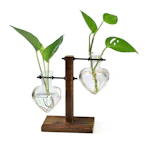 Plant Propagation Vases