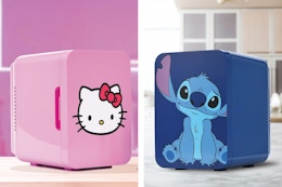 walmart character mini fridge collage