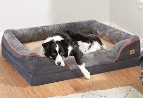 Jumbo Orthopedic Dog Bed