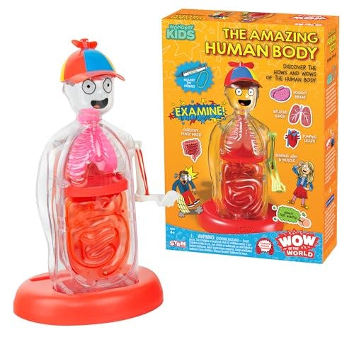 Thames & Kosmos Human Body Kit