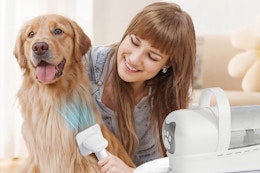 Pet Grooming Vacuum Kit, Just $30 on Amazon (Reg. $60) card image