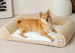 a dog laying on a large dog bed