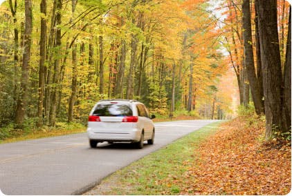 CheapOStay Offers Thanksgiving Hotel Discounts