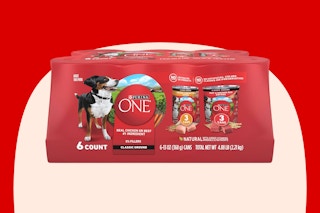 purina one dog food