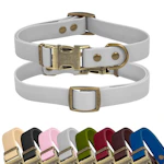 Rubber Dog Collar