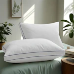 Quilted Goose Feather Down Pillow 2-Pack