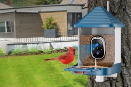 B0F3VPYHCV Bird Feeder