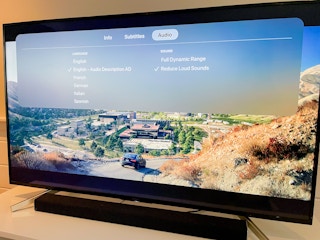 Netflix tv app open on tv screen showing the English Audio Description selected