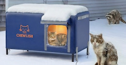 a blue heated cat house outside with cats 