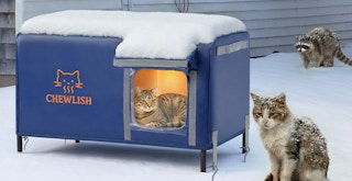 a blue heated cat house outside with cats 